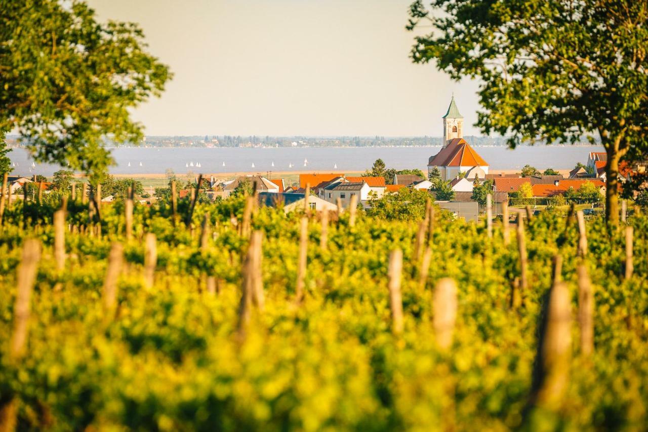 Privatunterkunft Weingut D&d Haider *